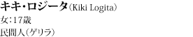 LLEW[^iKiki Logitaj^F17΁^ԐliQj